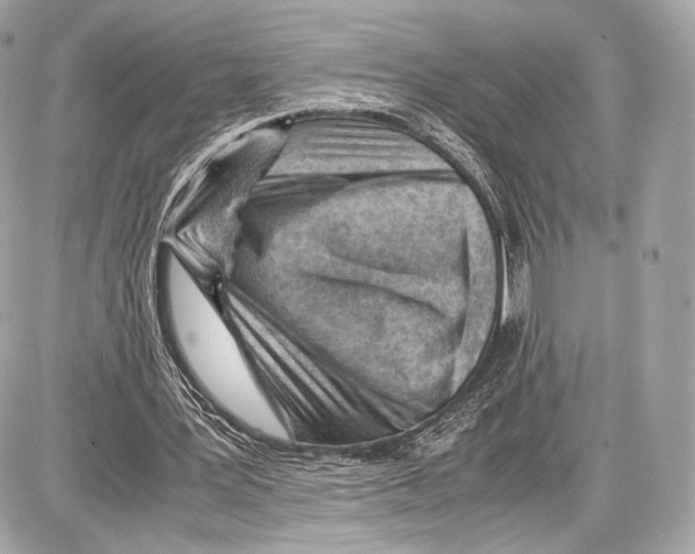 X0000086960387200705141631