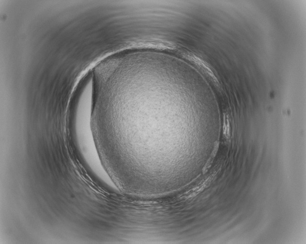 X0000086960388200705141631