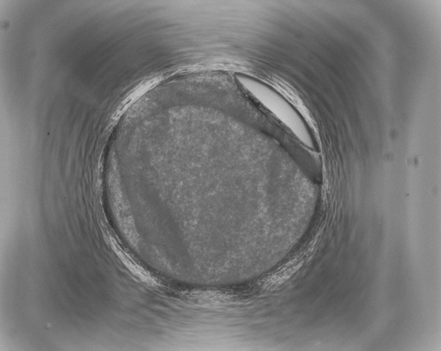 X0000086960389200705141631