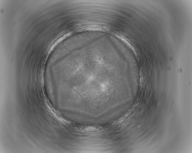 X0000086960390200705141631