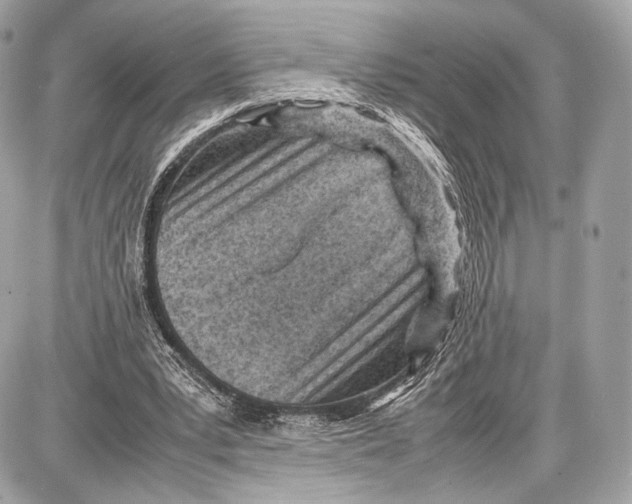 X0000086960391200705141631