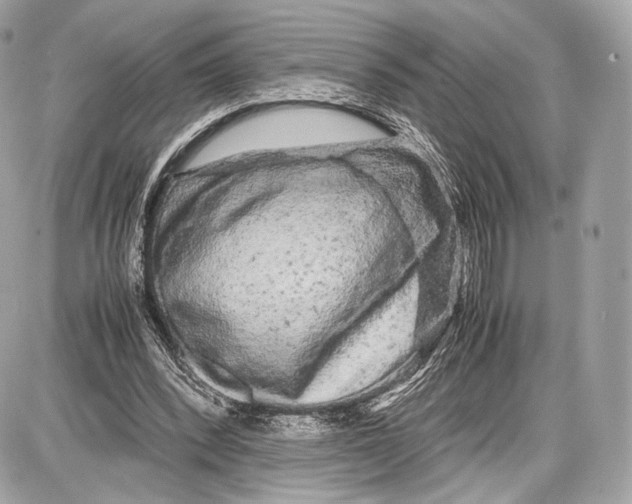 X0000086960392200705141631