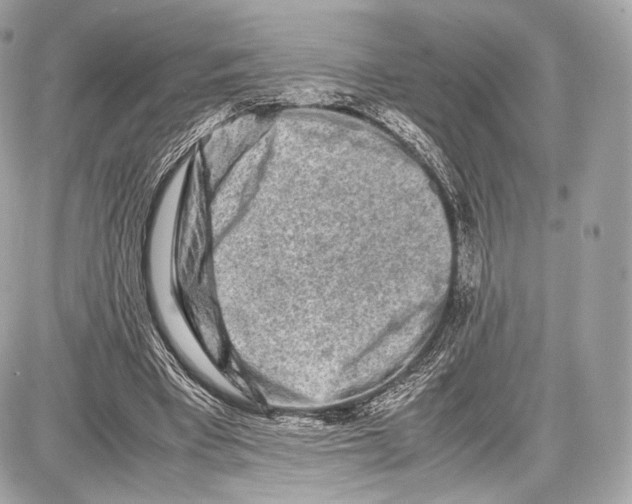 X0000086960393200705141631