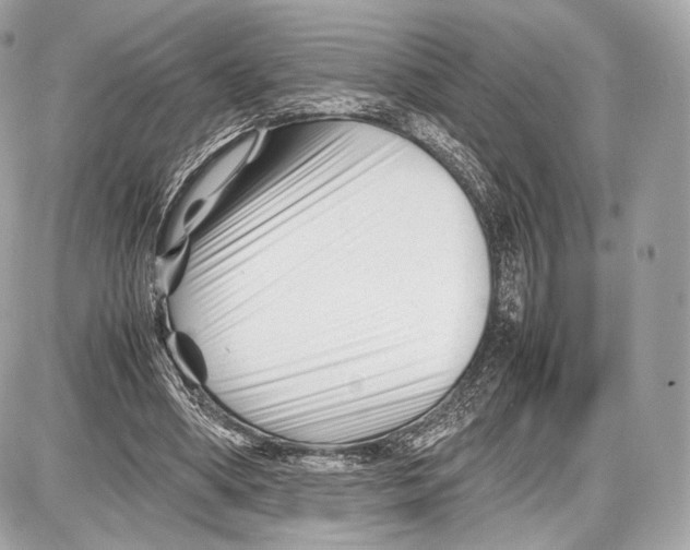 X0000086960394200705141631