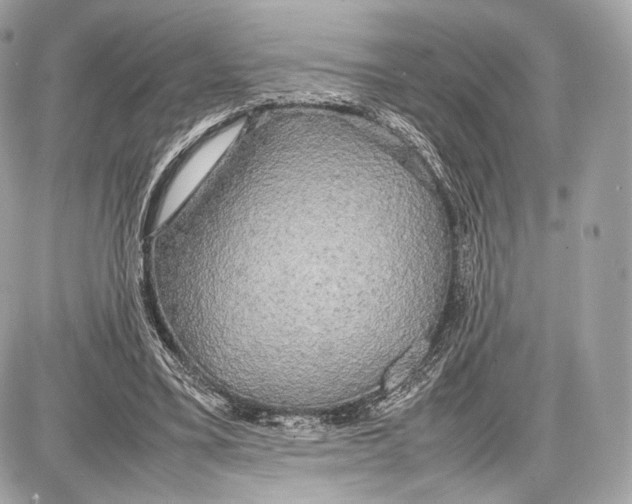 X0000086960395200705141631