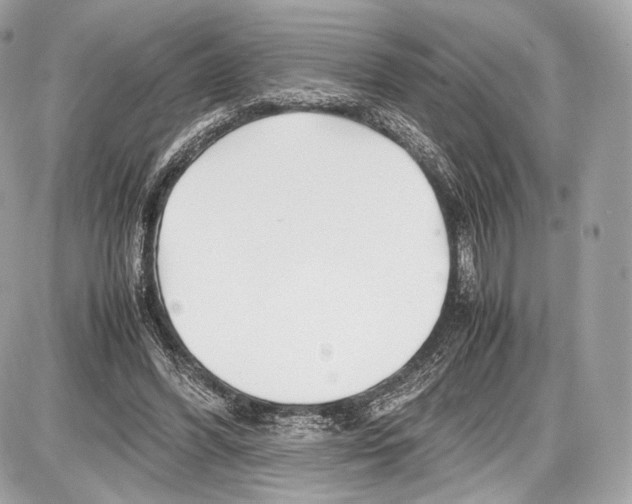 X0000086960396200705141631