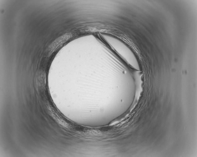 X0000086960397200705141631