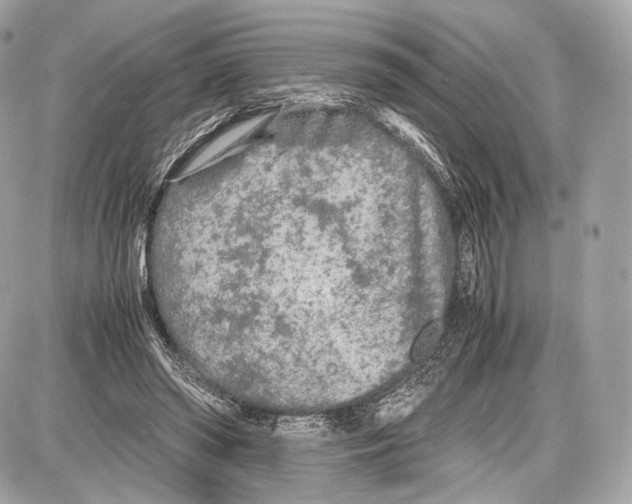 X0000086960398200705141631