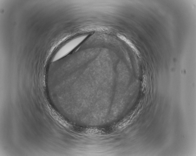 X0000086960399200705141631