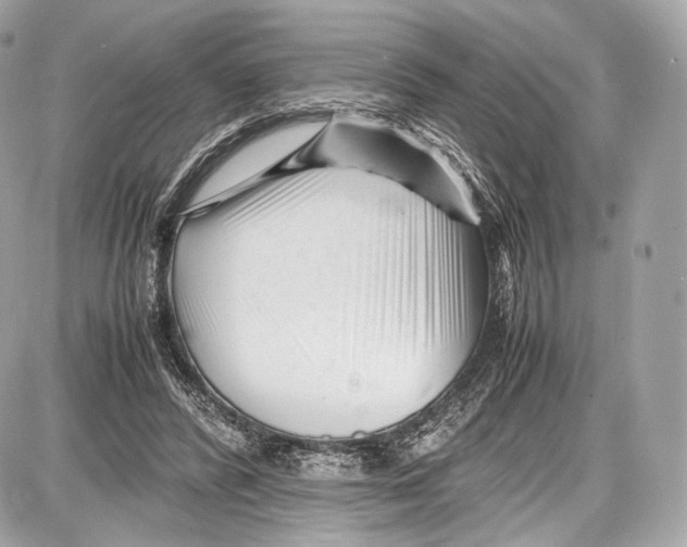 X0000086960400200705141631