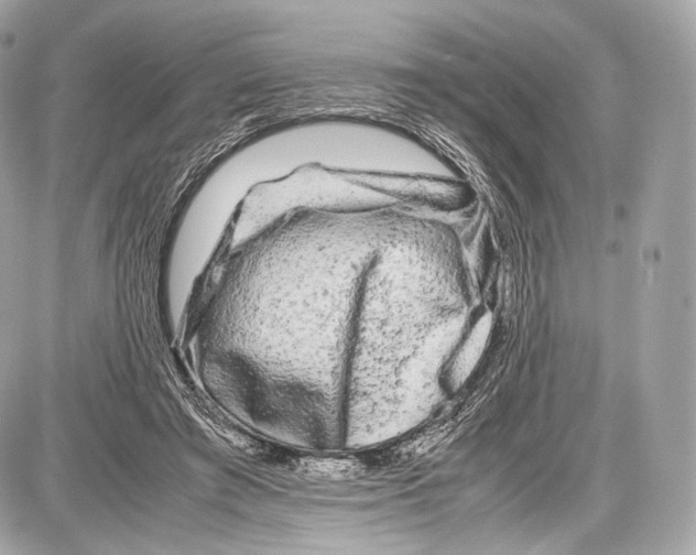 X0000086960401200705141631