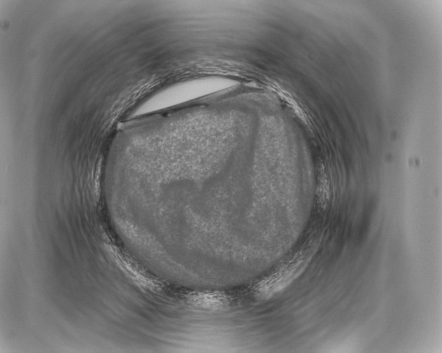 X0000086960402200705141631