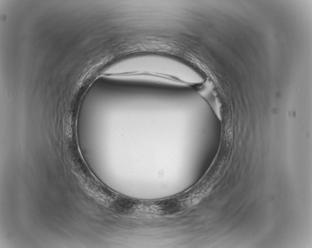 X0000086960403200705141631