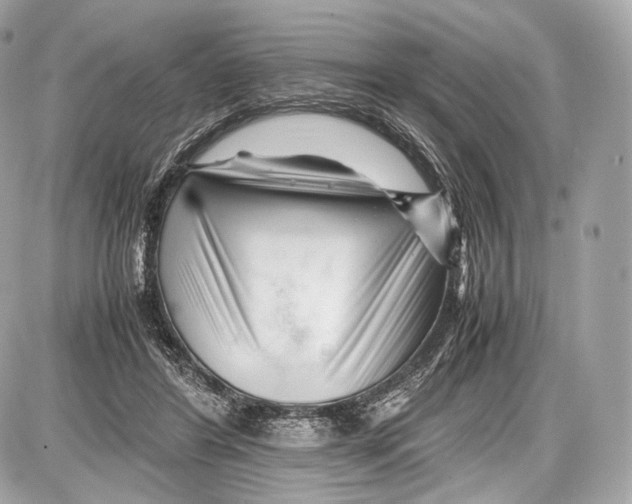 X0000086960404200705141631