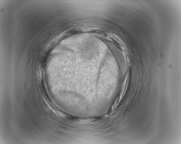 X0000086960405200705141631