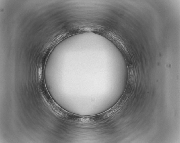 X0000086960406200705141631