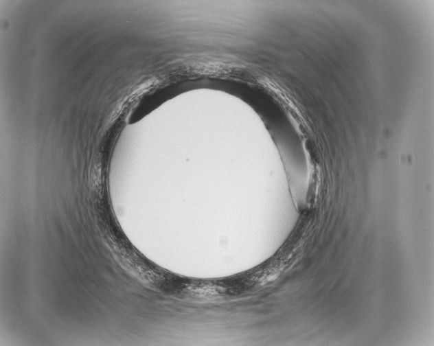 X0000086960407200705141631