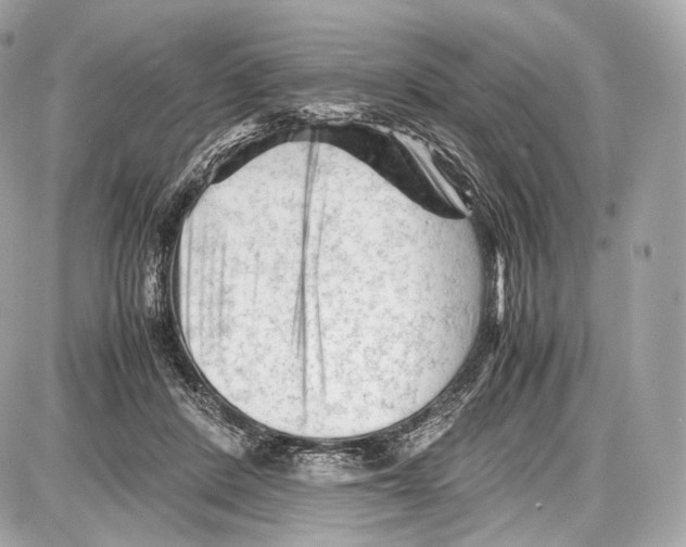 X0000086960408200705141631