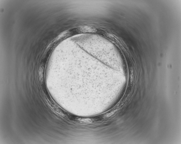 X0000086960409200705141631