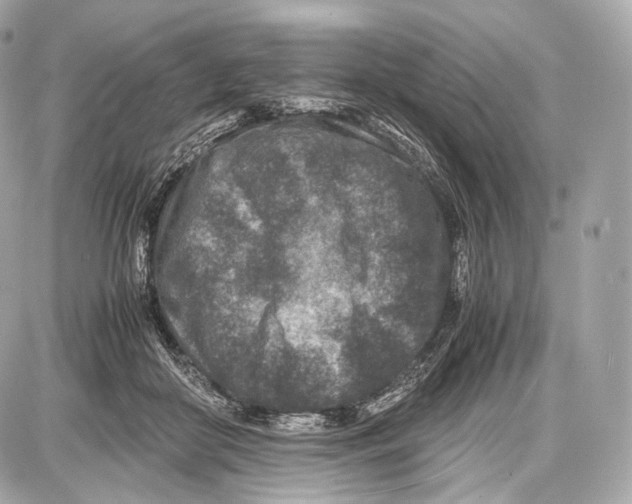 X0000086960410200705141631