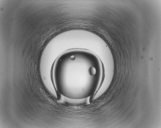 X0000086960411200705141631