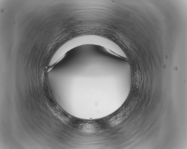 X0000086960412200705141631