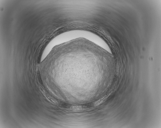 X0000086960413200705141631