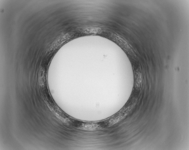 X0000086960414200705141631