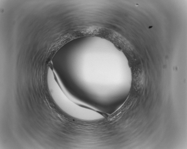 X0000086960416200705141631