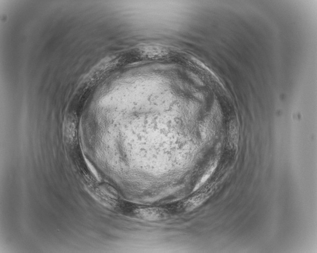 X0000086960417200705141631