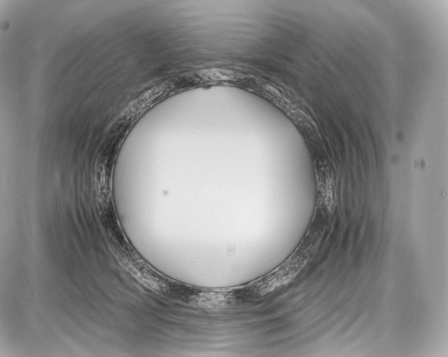 X0000086960418200705141631