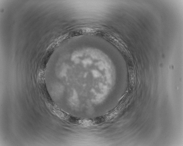 X0000086960419200705141631