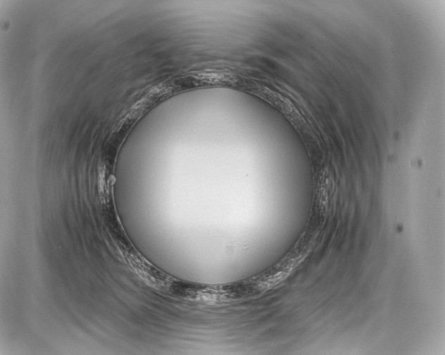 X0000086960420200705141631