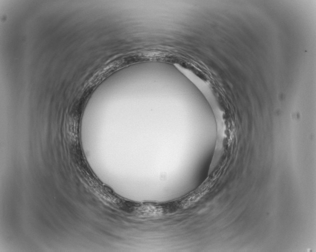 X0000086960421200705141631