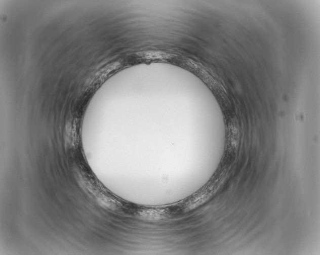 X0000086960422200705141630