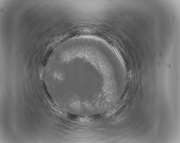 X0000086960423200705141630