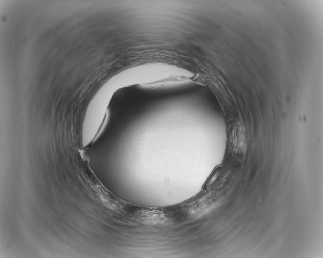 X0000086960424200705141630