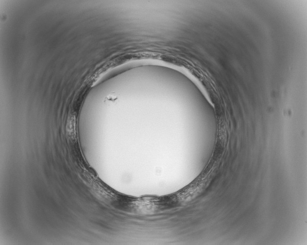 X0000086960425200705141630