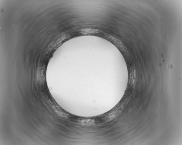 X0000086960426200705141630