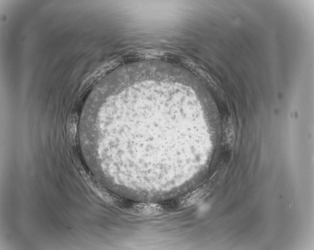 X0000086960427200705141630