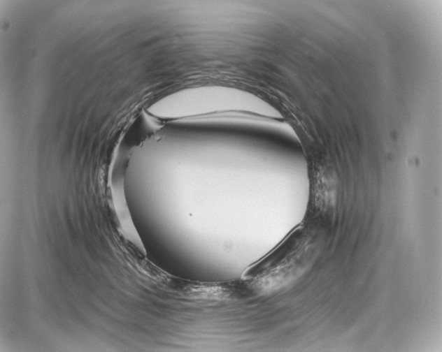 X0000086960428200705141630