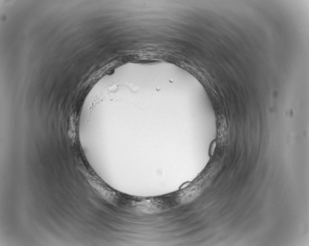 X0000086960430200705141630