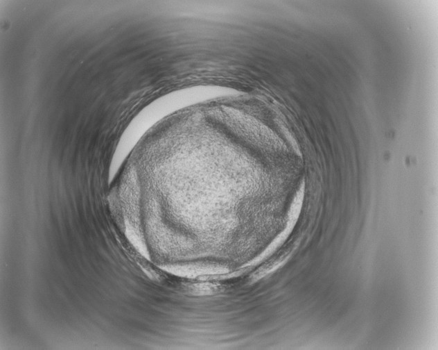 X0000086960432200705141630