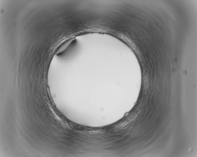 X0000086960433200705141630