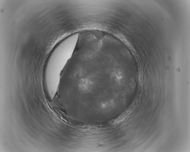 X0000086960434200705141630