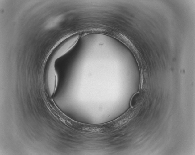 X0000086960435200705141630