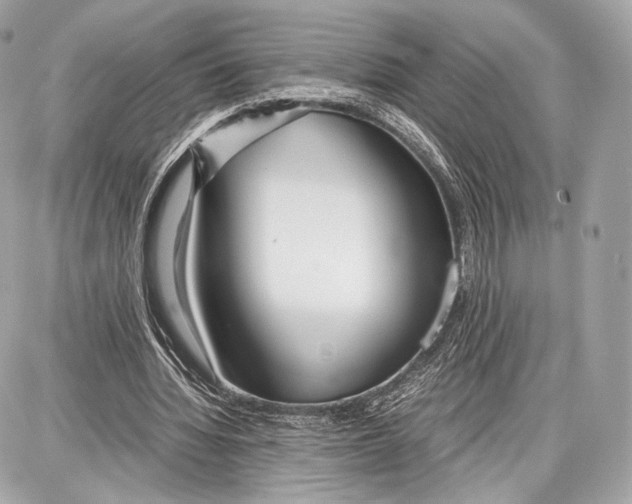 X0000086960436200705141630