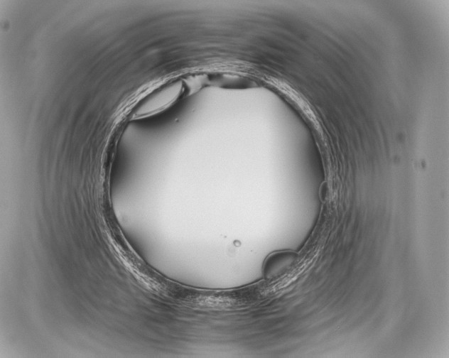 X0000086960437200705141630