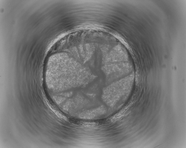 X0000086960438200705141630