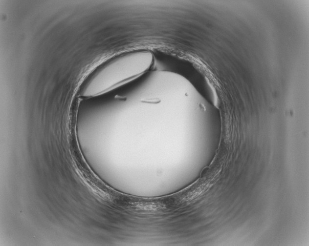 X0000086960439200705141630